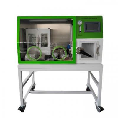 Anaerobic Incubator